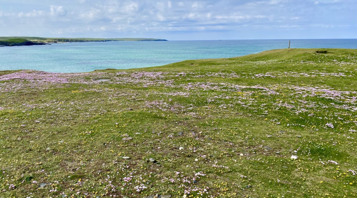 Exploring the Enchanting Machair: Scotland’s Coastal Gem